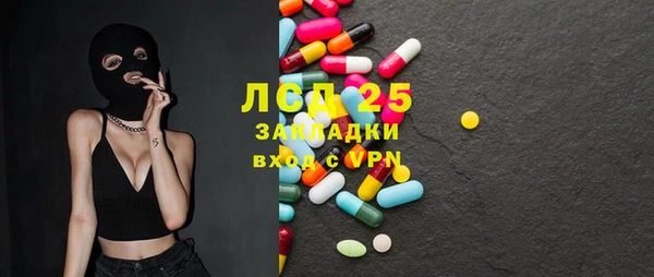 прущие грибы Аркадак