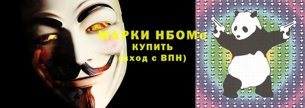 прущие грибы Аркадак