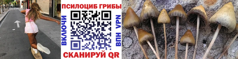 Псилоцибиновые грибы ЛСД  Терек 